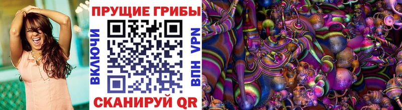 Псилоцибиновые грибы Cubensis Балтийск