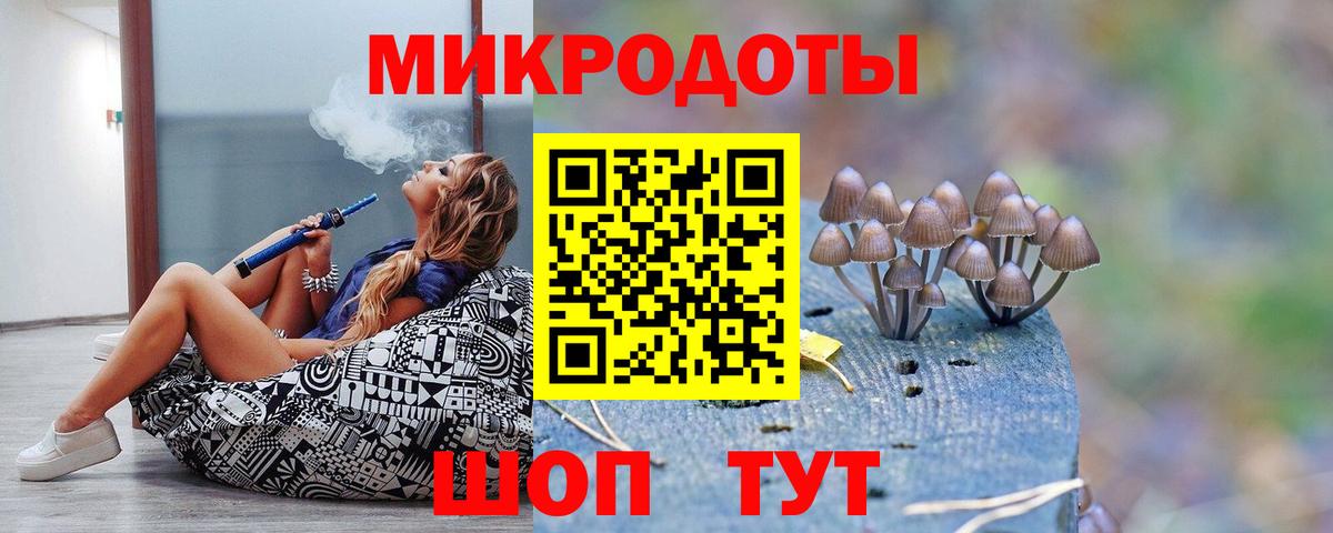 Псилоцибиновые грибы Psilocybine cubensis  Вход с VPN  Балтийск 
