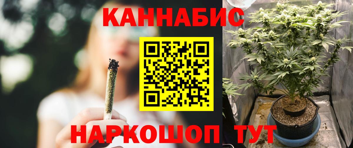 Конопля Ganja Балтийск