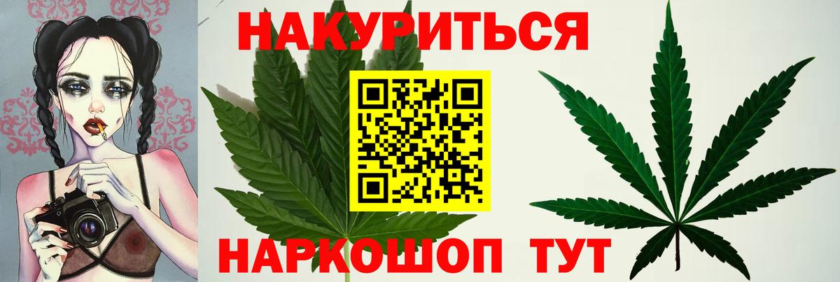 Конопля тримм Балтийск